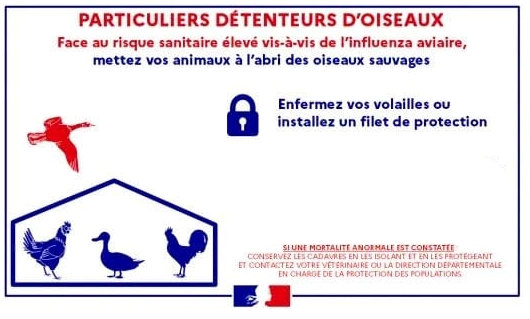 Influenza aviaire : Une réglementation également pour les particuliers