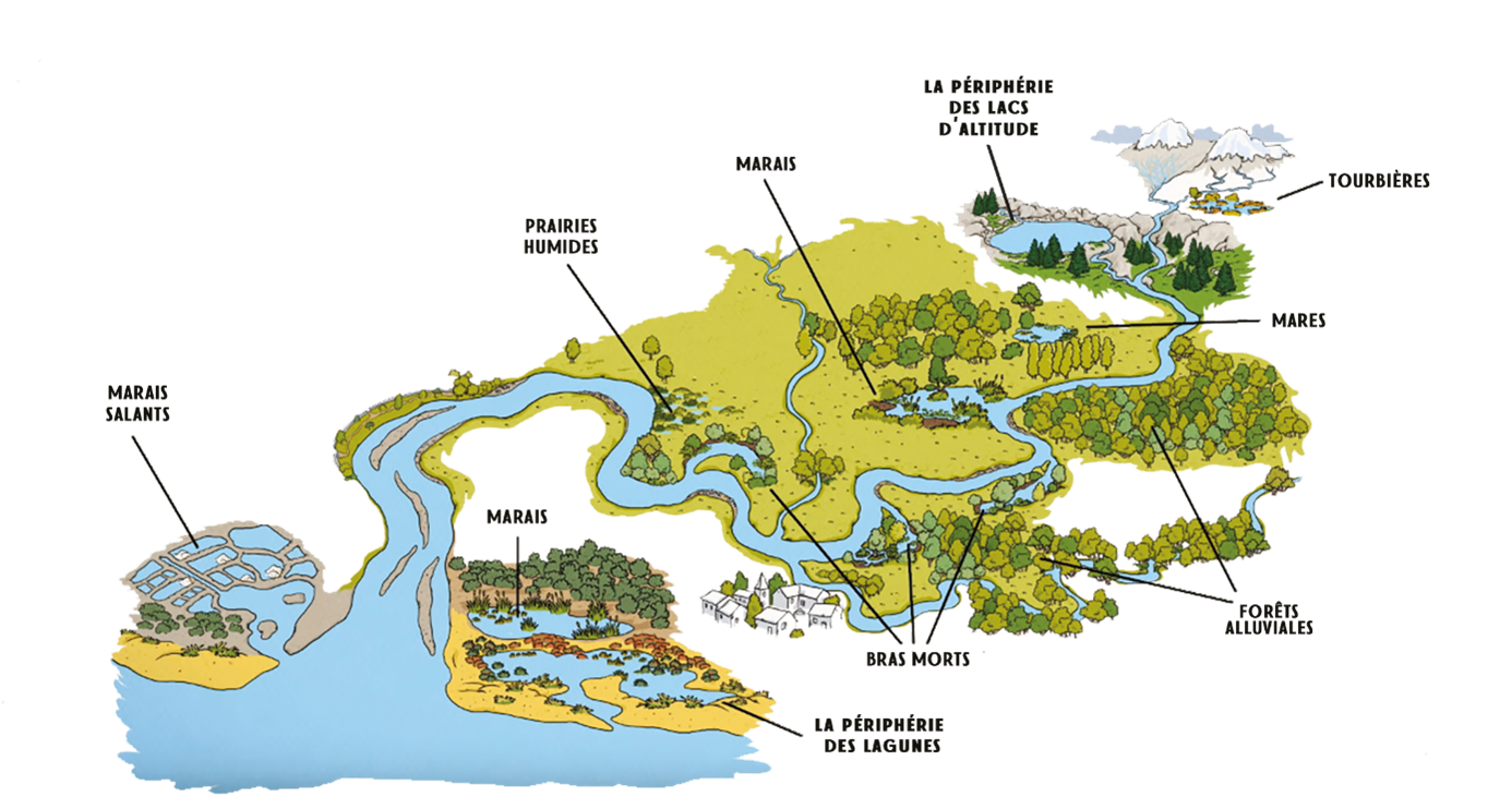 Inventaire des zones humides sur Angers Loire Métropole