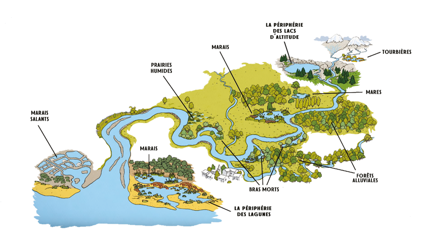 Inventaire des Zones humides