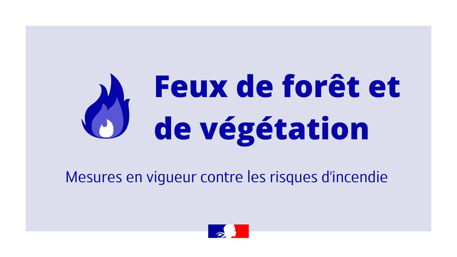 Feux de forêt et de végétation