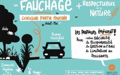 Fauchage de printemps