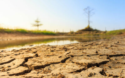 Etat de catastrophe naturelle