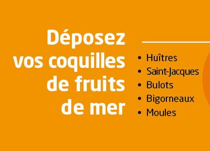 Dépôt des coquillages de fruits de mer en déchèteries