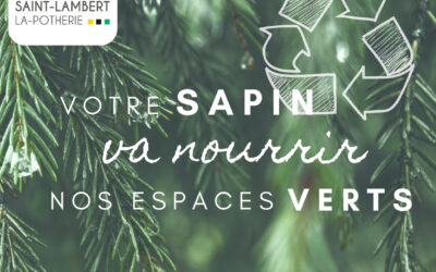 Recyclage sapins de noël