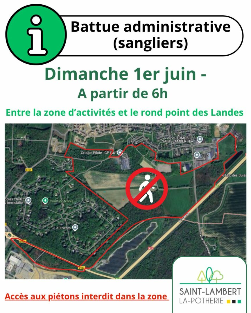 Battue administrative – Sangliers