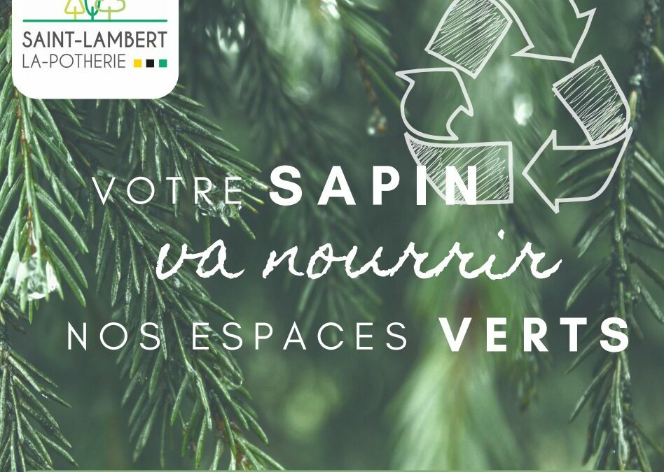 Recyclage des sapins naturels