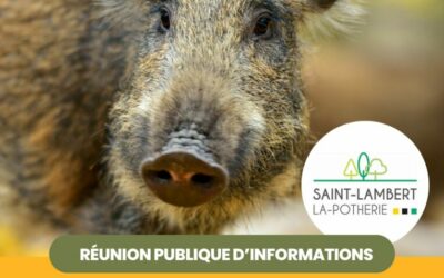 Réunion publique – Sangliers