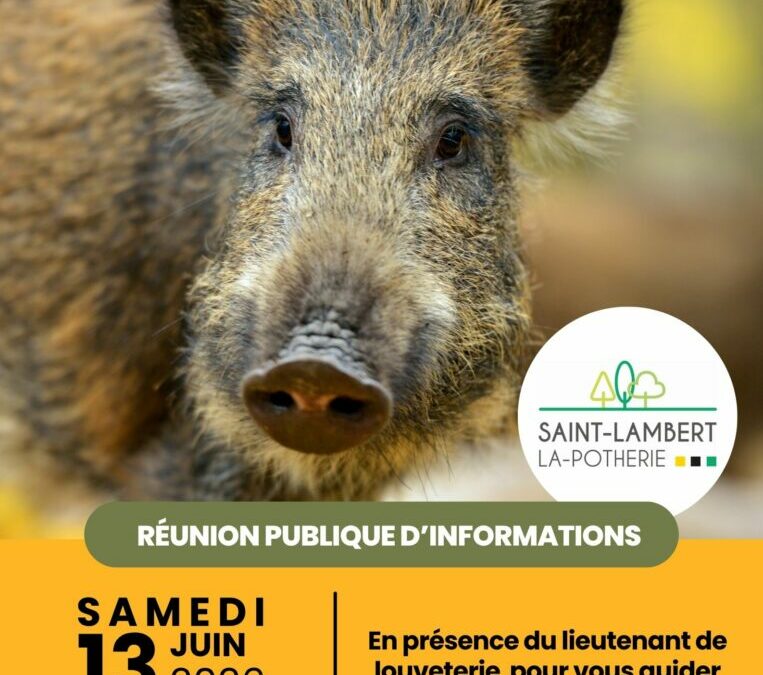 Réunion publique – Sangliers