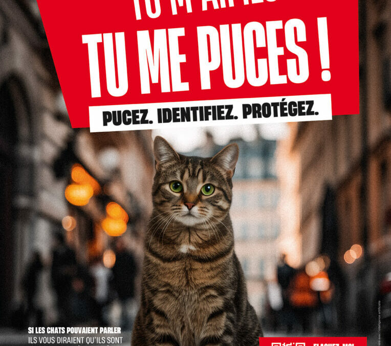 Semaine nationale de l&rsquo;identification